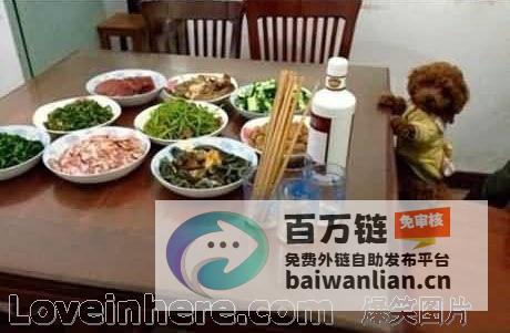 梦见自己开饭店 预兆和象征意义 (梦见自己开饭店是什么意思)